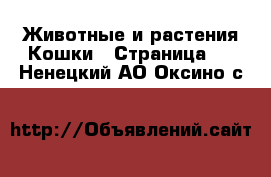 Животные и растения Кошки - Страница 6 . Ненецкий АО,Оксино с.